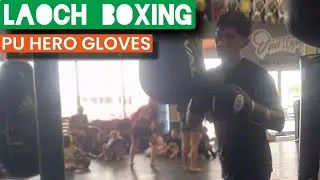 Laoch Boxing PU Hero Boxing Gloves | Maize Bag