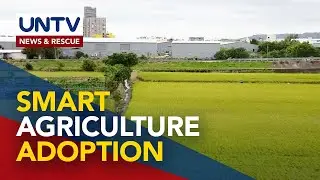 Pinoy young farmer interns sa Taiwan, nais na mai-angkop sa Pinas ang modern farming techniques