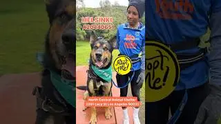 Furry Field Trip with Helsinki and K9YA LA Marathon Team Captain!