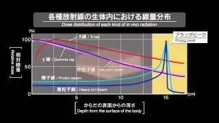 Heavy Ion Beam Video