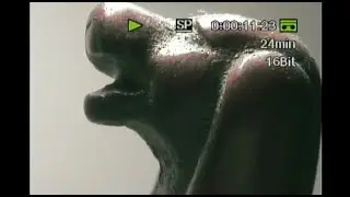 Bronze Dog  - A Short Story (Absolutely Zero Editing Skills) - MiniDV Recording