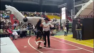 Jhohan Moreno - Katerine Garcés Baile Criollo Festival internacional el Gabán de Oro slp 2025