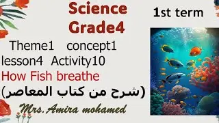 Science grade 4 - How Fish breathe - concept 1 Lesson 4 - Activity 10 - First term 2024-2025