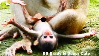 Wow super cute! Newborn Brady is so cute that Katrina fall in love & aim steal from Libby Ep407