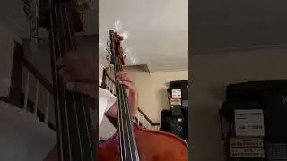 Double bass Ballad Cover 