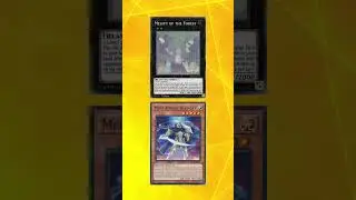 Archetype Quiz! Melffy Vs Mekk-Knight!