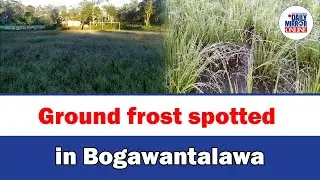 Ground frost spotted in Bogawantalawa