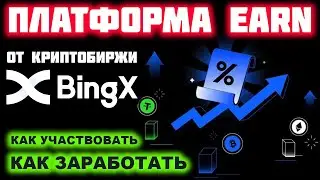 BingX Earn (Wealth Account) Full Review. A Staking Platform for Passive Cryptocurrency Income