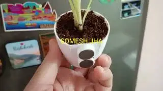 magnet pot चुंबक वाला गमला chumbak wala pot मैग्नेट प्लांटर पॉट magnetic gamla मैग्नेट वाला गमला mag