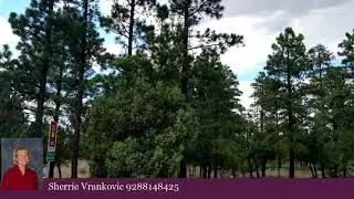 Commercial for sale - 2869 Roundup Lane, Happy Jack, AZ 86024
