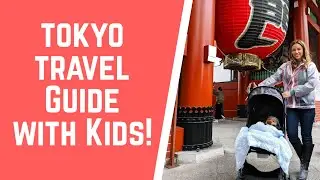 Top Things to do in Tokyo with Kids: Tokyo Skytree, Sumida Aquarium, Solamachi, and Sensoji Temple