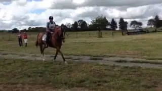 Jess and Ginger, Gingers first xc Berrima 2913