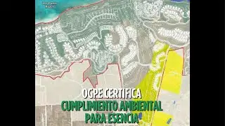 Se avecina una tormenta campal ✍🏽🔥🐢