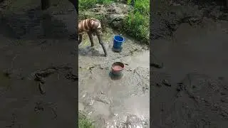 Dry Pond Fishing