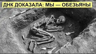 Древняя ДНК доказала: люди произошли от обезьян, и наука больше не оставляет шансов сомневаться
