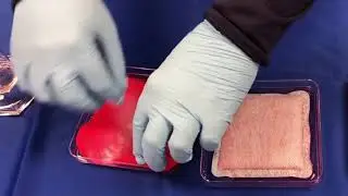Zetuvit Plus® Absorbency Demonstration