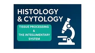 Introduction to tissue processing & the integumentary system (BIOL2012 Module 2 T3 2025)