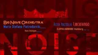 Big Noise Orchestra feat. Mario Stefano Pietrodarchi - Piazzolla, Libertango - at Elbphilharmonie