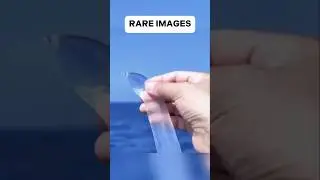 Rare images that will blow your mind #shorts