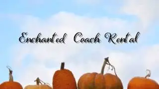 ASMR Magical Carriage Reservation RP (Enchanted Series)