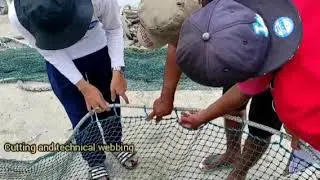 Banana shrimp trawl (best practices)
