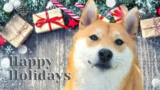 O Little Town of Bethlehem (JAZZ) - 7 days of holiday music with doggo