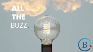 Belongify: Energize Your Team