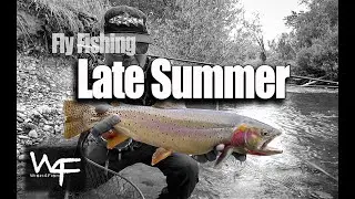 W4F - Fly Fishing Late Summer 