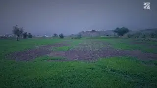 أجواء ومناظر الحرث يوم السبت 13\شوال\1435 [الخوبة - جازان]