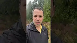 Еще один Bitaxe только что в одиночку добыл блок?