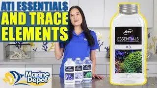ATI Essentials and Trace Elements: What YOU Need to Know
