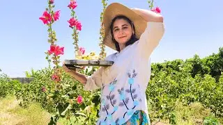 Village Vibes & Cherry Rice | Traditional Iranian Recipe