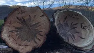 Wood turning another chunk of ambrosia maple