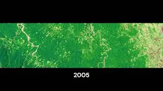 Bolivian Forest Deforestation 1985-2025 #climatechange #environment #deforestation #bolivia