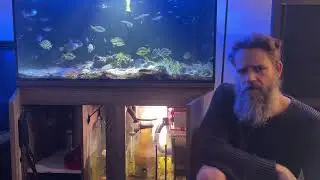 Going nuclear on Cyano