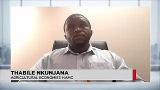 Watch: El Nino impact sends Southern Africa to Brazil for corn