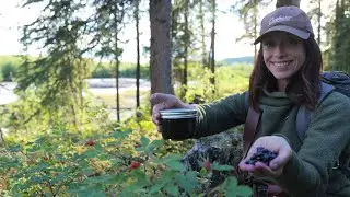 Canning Old-Fashioned Wild Foraged Jam | Alaska Subsistence Homestead Life