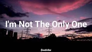 I'm Not The Only One -Sam Smith // leroy sanchez  (Lyric Video)