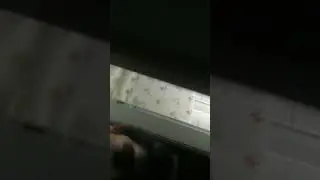 Arkadama eşek şakası yaptık