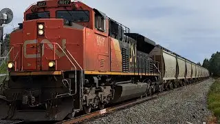 My FIRST Train On The CPKC Parry Sound Subdivision, But It's A CN!?
