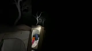 Bush Camping | Midnight In The Bush #scarycamping #creepyforest #bushcamping #pinoyinaustralia