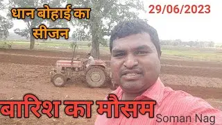 धान बोहाई का सीजन // Bastar Primitive Life's // Soman nag