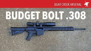 Хороши ли бюджетные винтовки AR с продольно-скользящим затвором? Bear Creek Arsenal BC10