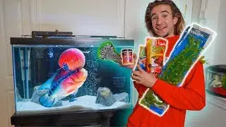 SHOPPING SPREE for My Pet FLOWERHORN Arnold!