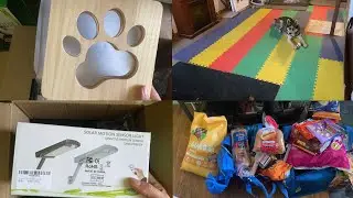 Order From Dollar Store, Walmart and Amazon | The Dogs Love Going Out In The Yard