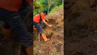 Benih penjaga bumi  buat anak cucu kita kelak 