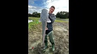 Catfish / Barbel calling (Baber Roep en Prop ) Bloemhof DAM