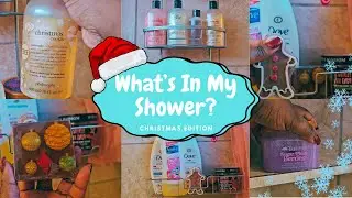 What's In My Shower? Christmas Edition 2024