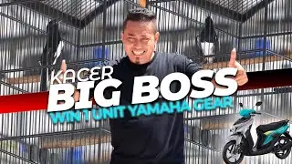 KACER BIG BOSS BAWA PULANG 1 UNIT YAMAHA GEAR | SKMN 2ND ANNIVERSARY 2024