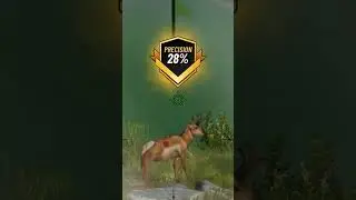 #hunting #viralshorts #animalhunt